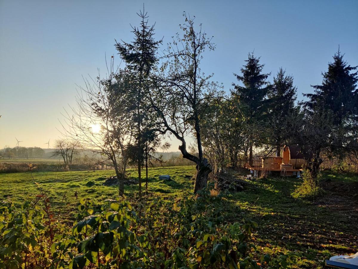 Osada Karszewo, Sauna Bania, Ryby ภายนอก รูปภาพ
