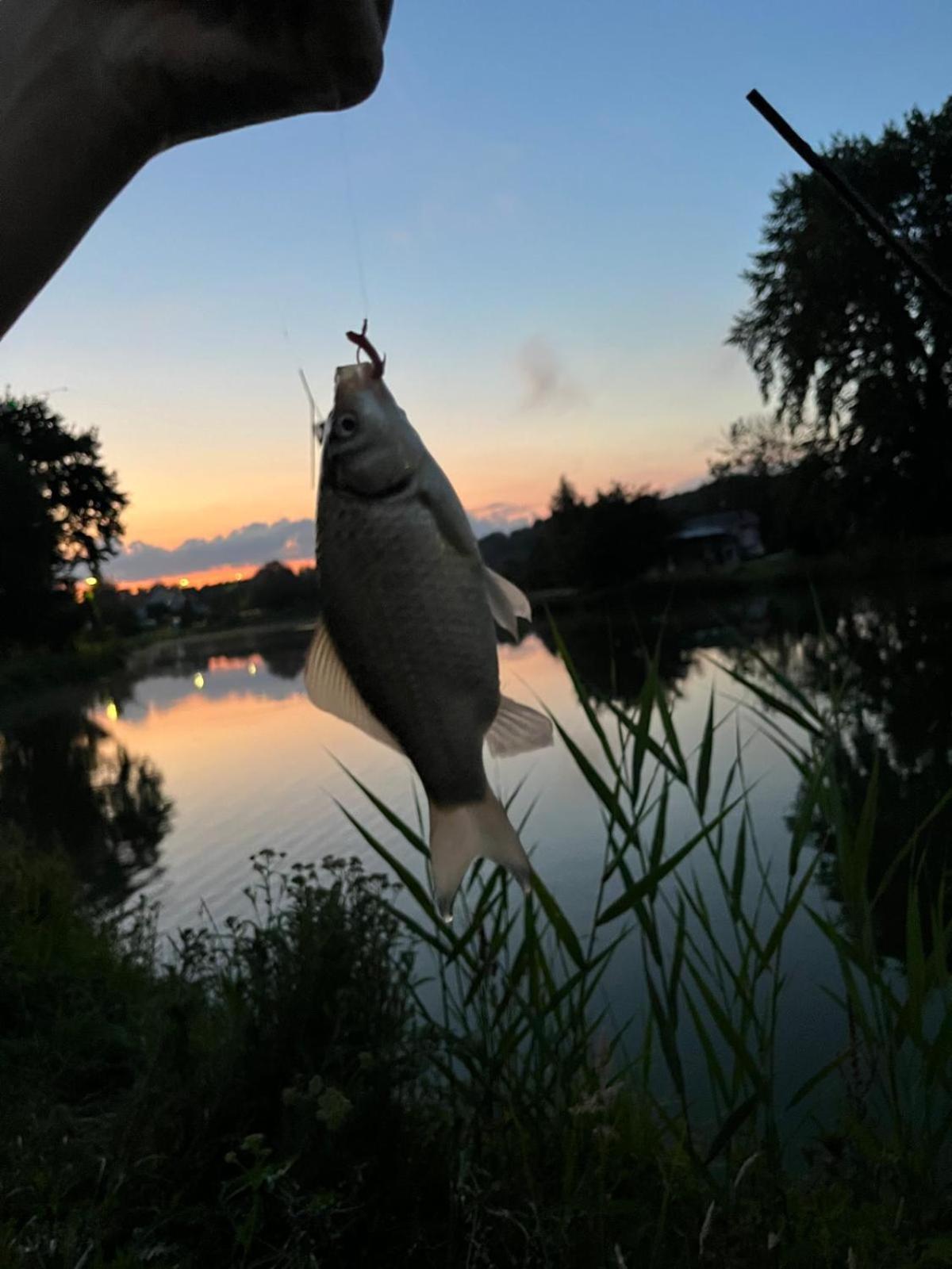 Osada Karszewo, Sauna Bania, Ryby ภายนอก รูปภาพ